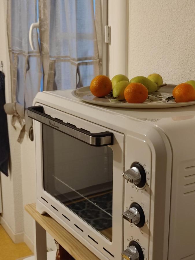 Grand Appartement En Rdc Vallee De Campan Εξωτερικό φωτογραφία